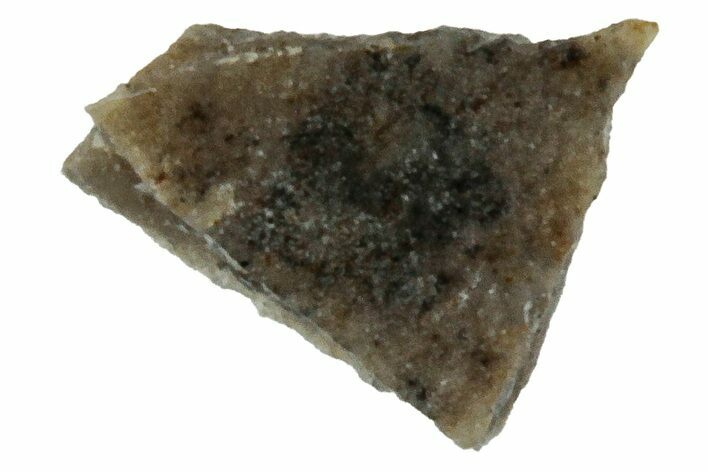 Rare, Lunar Basaltic Breccia Meteorite Fragment - NWA #308454
